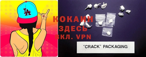 стаф Абаза