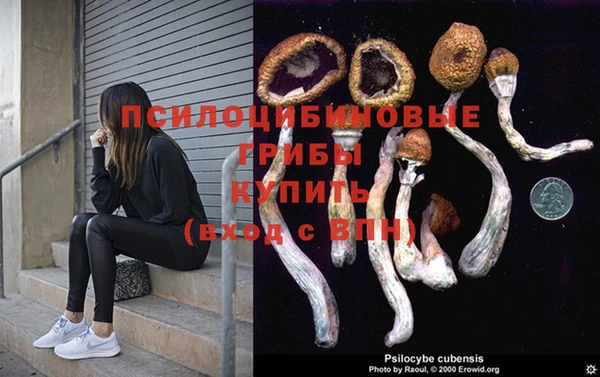 ECSTASY Абдулино