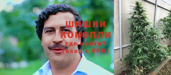 стаф Абаза