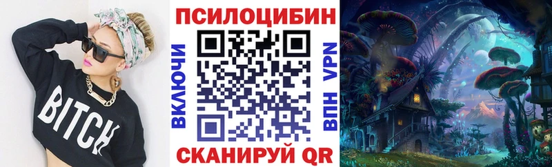 купить наркотики сайты  Кемь  Псилоцибиновые грибы мухоморы 